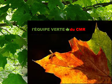 L'équipe verte du CMR