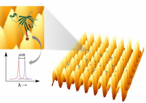 New biosensor